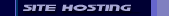 Website hosting options