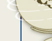 SPIN Logo
